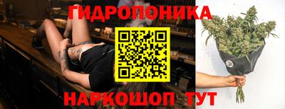 прущая мука Кингисепп