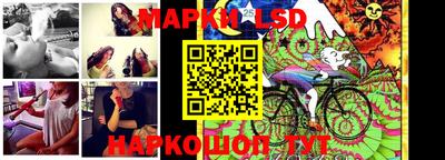 стаф Кимры