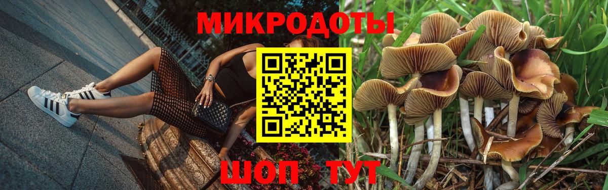 Псилоцибиновые грибы Cubensis  Вход с VPN  Иркутск  Галлюциногенные грибы Cubensis 